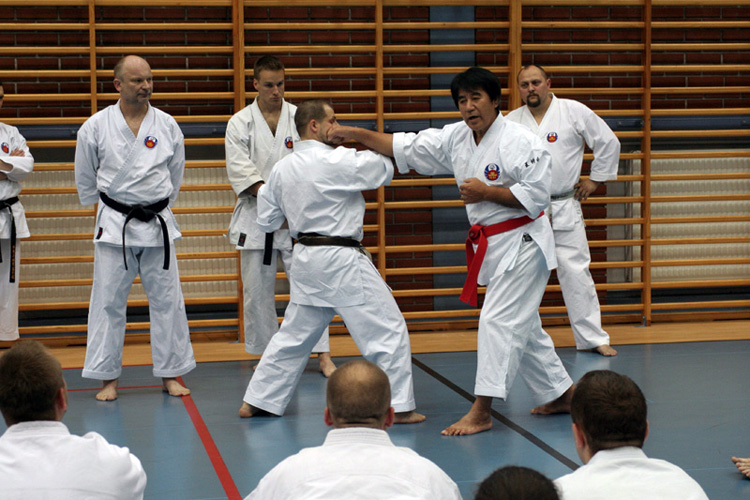KENYU CHINEN - 10 DAN, KRAKÓW, 6-7.06.2009.