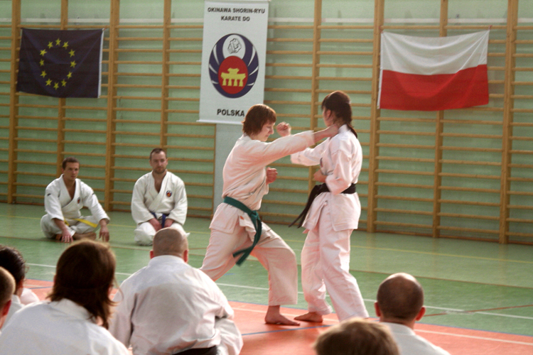 XXX-lecie Shorin-ryu w Polsce, Pińczów, 9-10.04.2011.