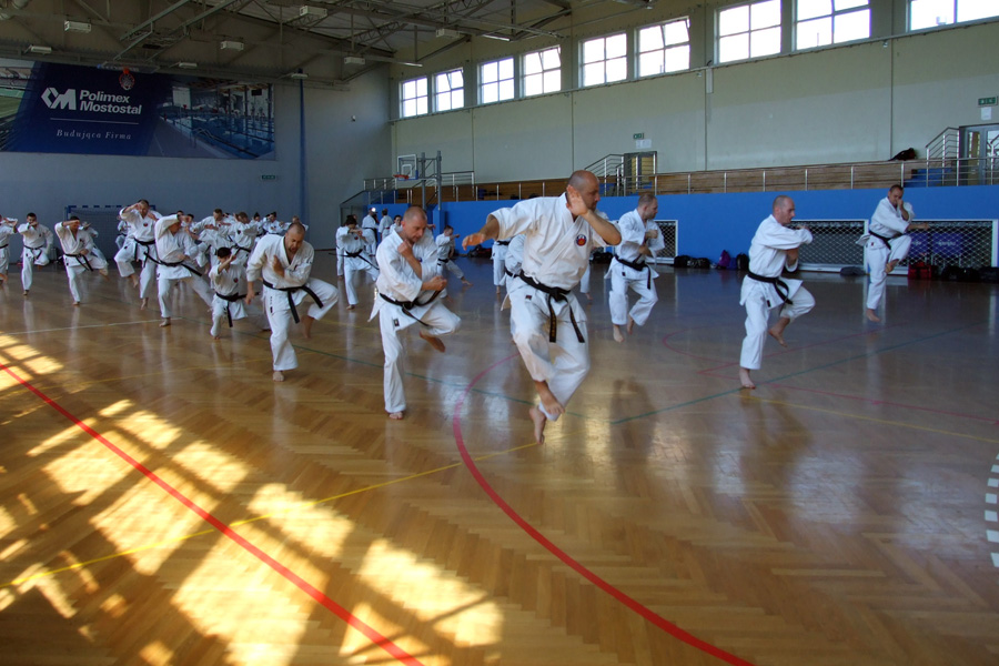 TRENING DLA CZARNYCH PASÓW, GDAŃSK, 7-8.06.2014.