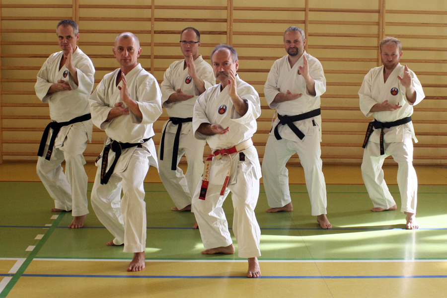 CENTRALNY KONGRES KARATE, PIŃCZÓW 2014