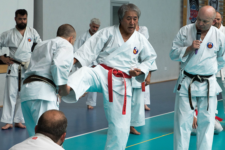 XXXV-LECIE SHORIN-RYU W POLSCE, PIŃCZÓW, 4-6.06.2016.