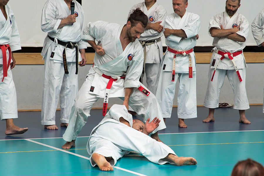 XXXV-LECIE SHORIN-RYU W POLSCE, PIŃCZÓW, 4-6.06.2016.