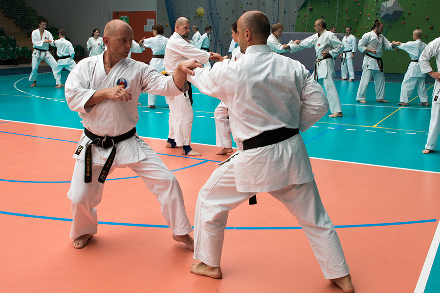 XXXV-LECIE SHORIN-RYU W POLSCE, PIŃCZÓW, 4-6.06.2016.