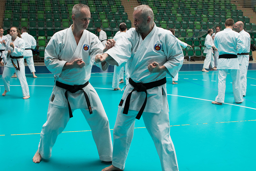 XXXV-LECIE SHORIN-RYU W POLSCE, PIŃCZÓW, 4-6.06.2016.