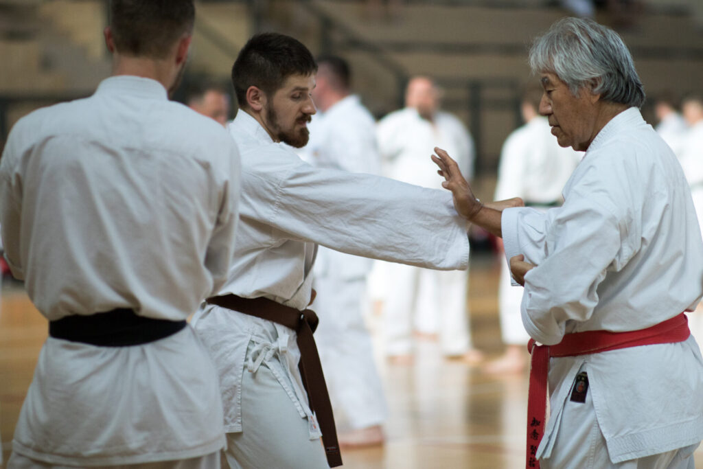 Jubileusz 40-lecia Shorin-Ryu Karate w Polsce, RYTRO, 18-19.06.2021