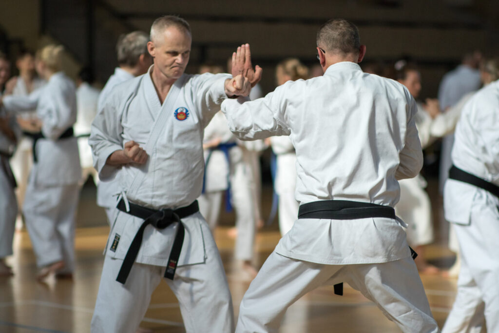 Jubileusz 40-lecia Shorin-Ryu Karate w Polsce, RYTRO, 18-19.06.2021