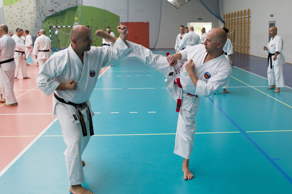 ŚWIATOWY DZIEŃ KARATE, PIŃCZÓW, 24.10.2020.