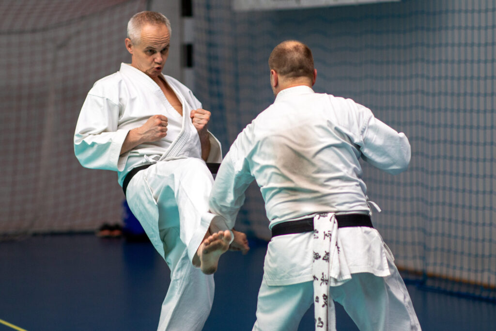 Mistrzowski Staż Shorin-Ryu Karate, Pińczów, 24-25.05.2025