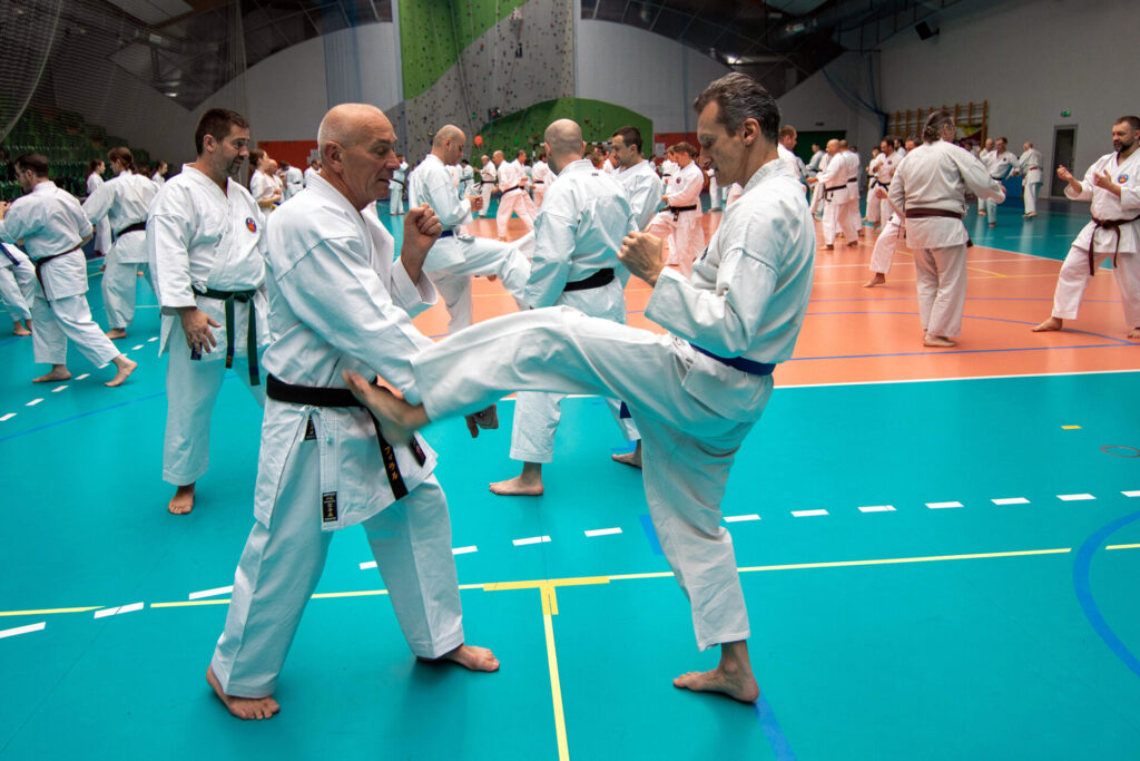 CENRTALNY KONGRES KARATE, PIŃCZÓW, 25-26.10.2025.